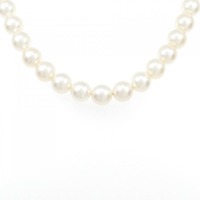 シルバークラスプ アコヤパール ネックレス 7.5-8mm