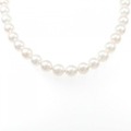 シルバークラスプ アコヤパール ネックレス 7-7.5mm