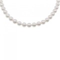 シルバークラスプ アコヤパール ネックレス 7-7.5mm