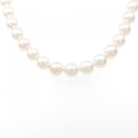 シルバークラスプ アコヤパール ネックレス 7.5-8mm