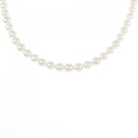シルバークラスプ アコヤパール ネックレス 5-5.5mm