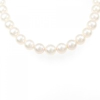 シルバークラスプ アコヤパール ネックレス 9-9.5mm