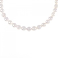 シルバークラスプ アコヤパール ネックレス 6.5-7.0mm