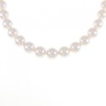 シルバークラスプ アコヤパール ネックレス 8-8.5mm