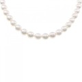 シルバークラスプ アコヤパール ネックレス 7.5-8mm