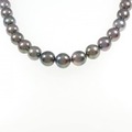 シルバークラスプ 黒蝶パール ネックレス 10.1-12.3mm