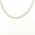 シルバークラスプ アコヤパール ネックレス 6.0-6.5mm