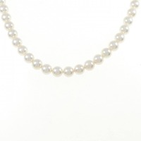 シルバークラスプ アコヤパール ネックレス 6.0-6.5mm