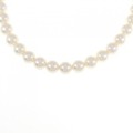 シルバークラスプ アコヤパール ネックレス 7-7.5mm