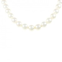 シルバークラスプ アコヤパール ネックレス 8.5-9.0mm
