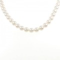 シルバークラスプ アコヤパール ネックレス 8.0-8.5mm