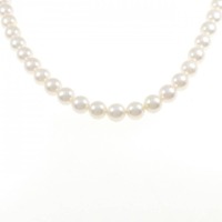 シルバークラスプ アコヤパール ネックレス 8.0-8.5mm