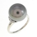 PT 黒蝶パール リング 11.6mm