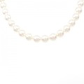 シルバークラスプ アコヤパール ネックレス 8mm