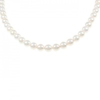 シルバークラスプ アコヤパール ネックレス 6.5-7.0mm