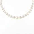 シルバークラスプ アコヤパール ネックレス 7.5-8.0mm