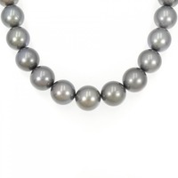 シルバークラスプ 黒蝶パール ネックレス 8-11mm