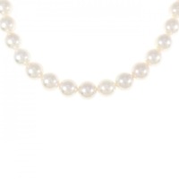 シルバークラスプ アコヤパール ネックレス 8-8.5mm