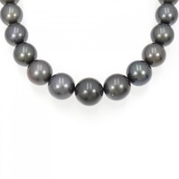 シルバークラスプ 黒蝶パール ネックレス 11-14.5mm