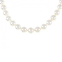 シルバークラスプ アコヤパール ネックレス 7-7.5mm