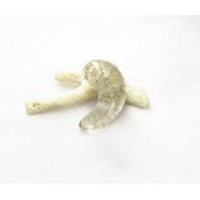 CC0225　【稀少】　ガネーシュヒマール産　ヒマラヤ水晶　勾玉（角閃石）