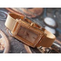 DKNY ダナキャランニューヨーク 腕時計 NY8627 メッシュメタルベルト