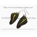 【ネクロマンス NECROMANCE】リアルバタフライウィングピアス Real Butterfly Wing Pierce ＜コモンタイマイ 前翅＞ 蝶々 羽