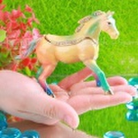 ☆ドリームホース・宝石箱　〜〜誕生日・新生活・エナメル