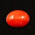 サンゴ ルース (裸石) 1.05ct　【 3月 誕生石 】( さんご 珊瑚 コーラル coral 朱色 オーバルカボションカット)