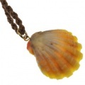サンライズシェル ハワイの大自然が作り出した希少なサンライズシェルネックレス