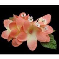 ハワイアンヘアクリップ　プルメリアヘアクリップ　ピンクイエロー