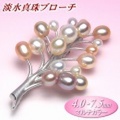 淡水真珠ブローチ（マルチカラー／4.0-7.5mm）